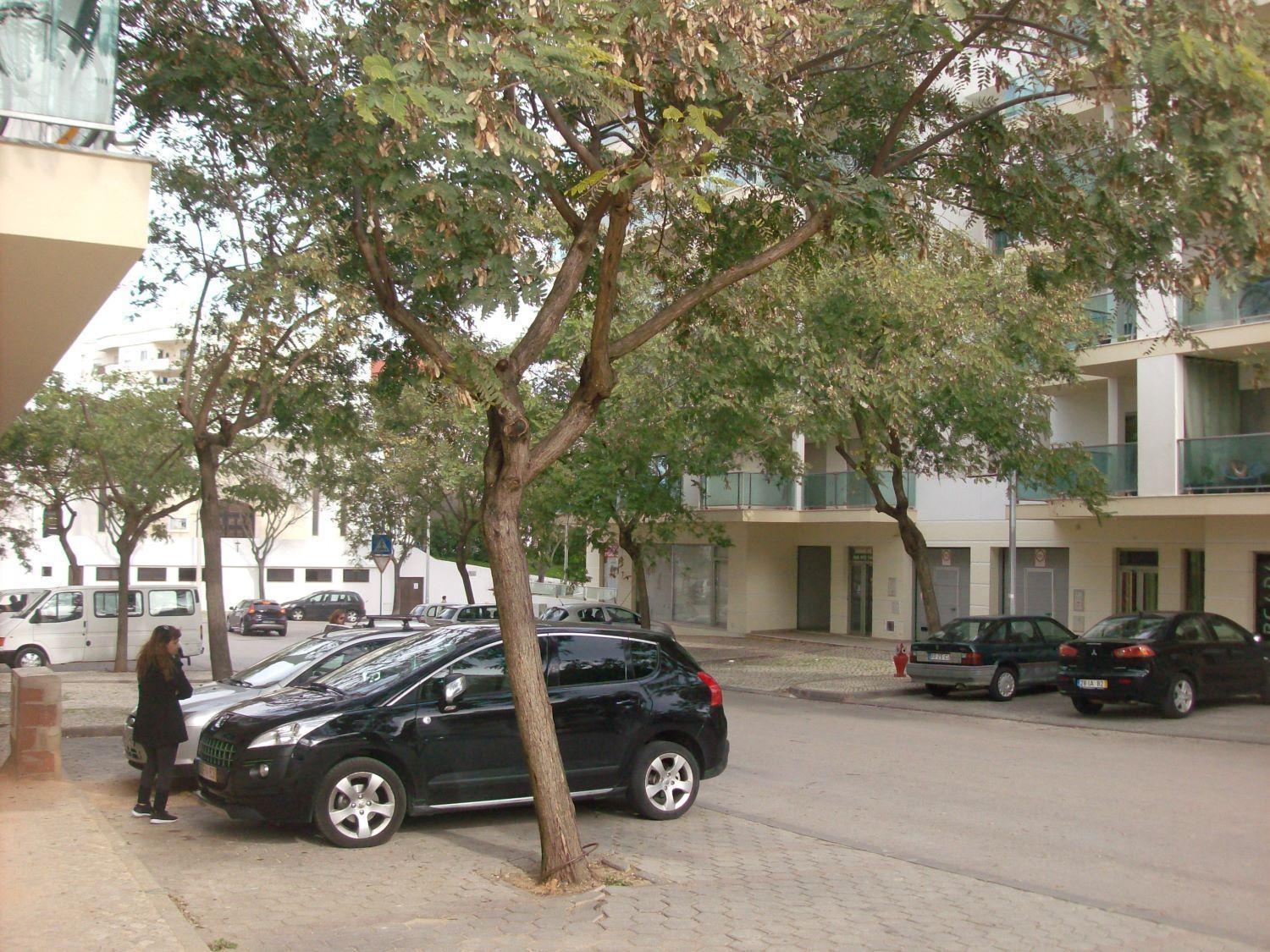 Appartement Pinheiro Portimão Eksteriør bilde